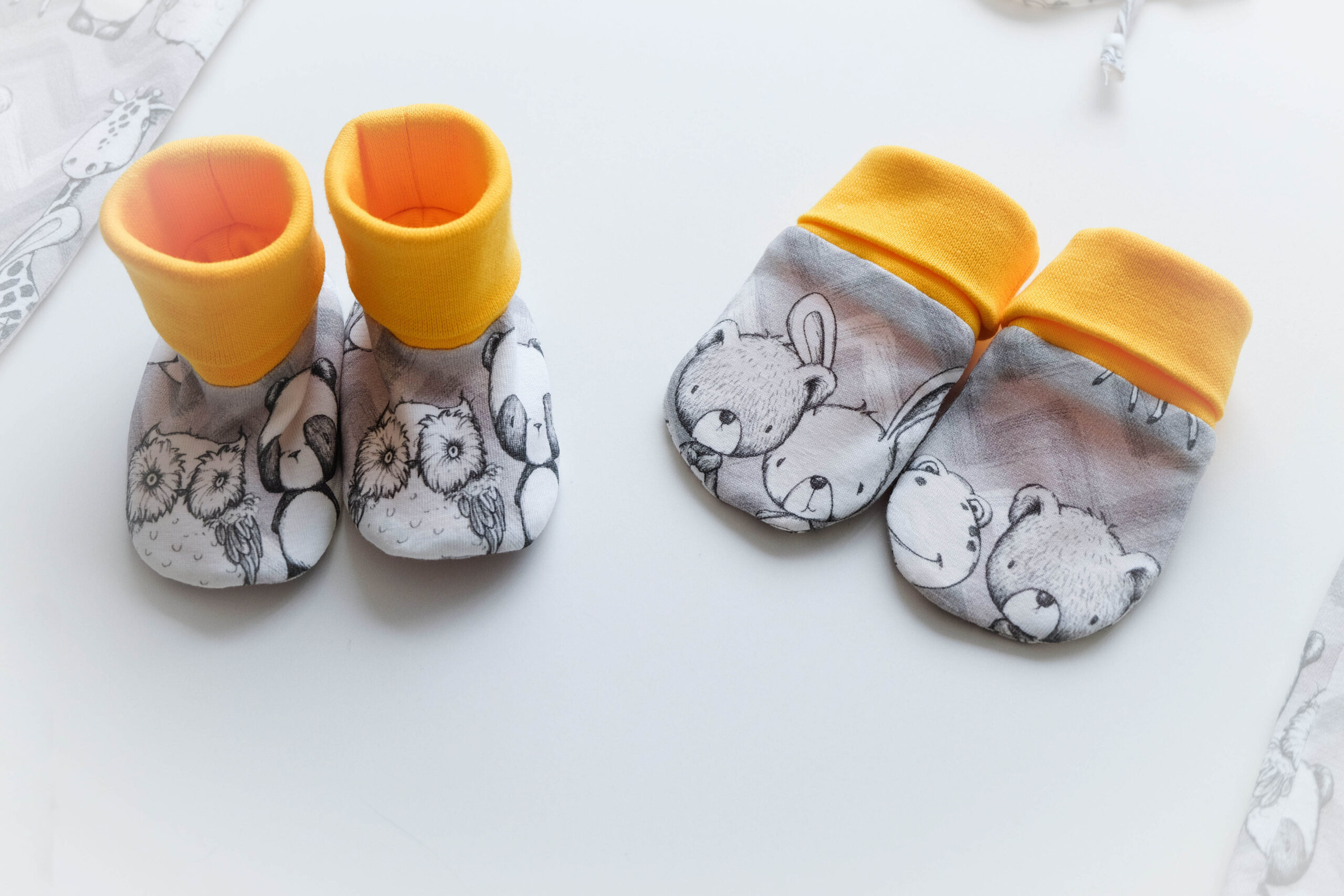 Gomera halli-kollasega papud kojutoomiskomplekts